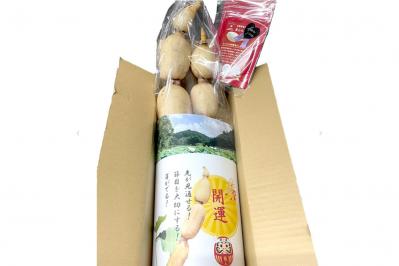 これは美味しい！唯一無二の極上野菜「れんこん」と「玉ねぎ」【料理家に人気のお取り寄せ】