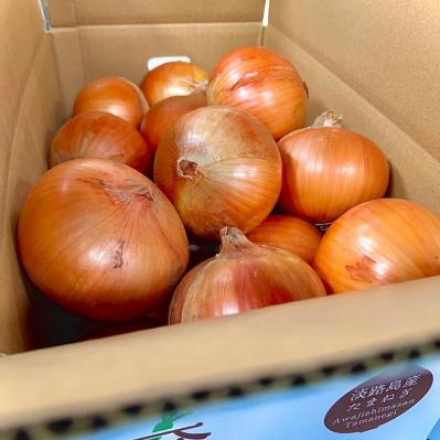 これは美味しい！唯一無二の極上野菜「れんこん」と「玉ねぎ」【料理家に人気のお取り寄せ】（サムネイル画像4）