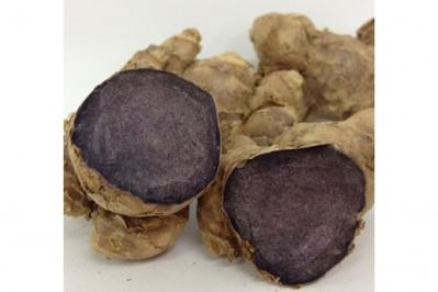 機能性関与成分　ブラックジンジャー由来ポリメトキシフラボン12mg*を配合（サムネイル画像）