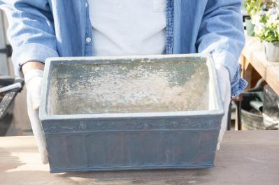 【ガーデニング】人気YouTuber“オニちゃん”の傑作ぞろい！リングバスケット＆寄せ植え（サムネイル画像12）