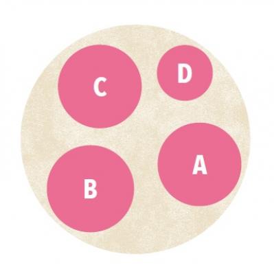 【ガーデニング】人気YouTuber“オニちゃん”の傑作ぞろい！リングバスケット＆寄せ植え（サムネイル画像9）