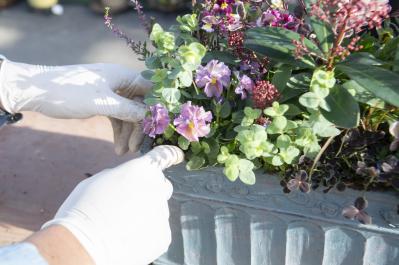 【ガーデニング】人気YouTuber“オニちゃん”の傑作ぞろい！リングバスケット＆寄せ植え（サムネイル画像24）