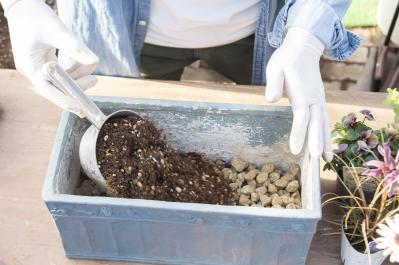 【ガーデニング】人気YouTuber“オニちゃん”の傑作ぞろい！リングバスケット＆寄せ植え（サムネイル画像13）