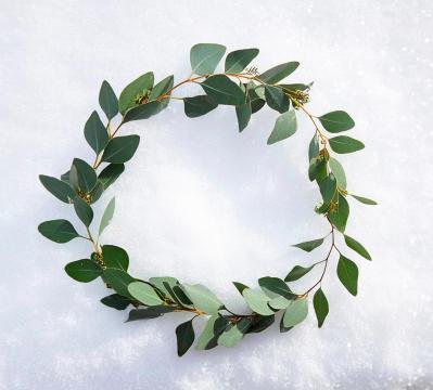 【ガーデニング】身近な自然素材のクリスマス ディスプレー！初めてでも簡単（サムネイル画像7）