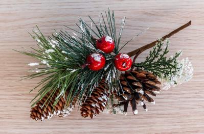 【ガーデニング】身近な自然素材のクリスマス ディスプレー！初めてでも簡単（サムネイル画像3）