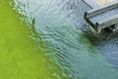 コーヒー色の湯で美肌が叶う！泉質が◎の【温泉宿】3選。温泉ジャーナリストおすすめ（サムネイル画像10）