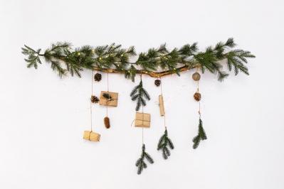 【ガーデニング】身近な自然素材のクリスマス ディスプレー！初めてでも簡単（サムネイル画像8）