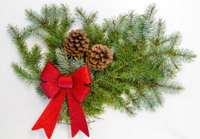 【ガーデニング】身近な自然素材のクリスマス ディスプレー！初めてでも簡単（サムネイル画像10）