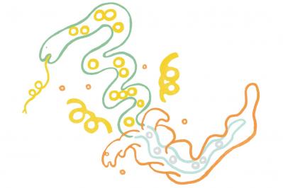 【2025年に大開運】を迎えるには？「絶対に守るべきこと」を神道研究家 羽賀ヒカル先生がアドバイス