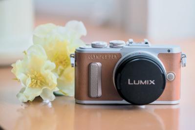 月約12万円の年金生活・人気ブロガー【メロンさん】72歳。一人暮らしの財布事情と日々の楽しみとは？（サムネイル画像5）