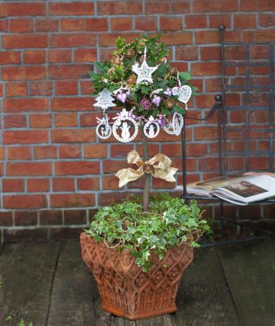 玄関先が華やぐ【ゲッケイジュのクリスマスツリー】料理に活躍するハーブでハレの日に彩りを（サムネイル画像2）