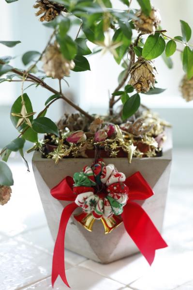 おめでたい木【マートルのクリスマスツリー】甘い香りのハーブで心穏やかに（サムネイル画像7）