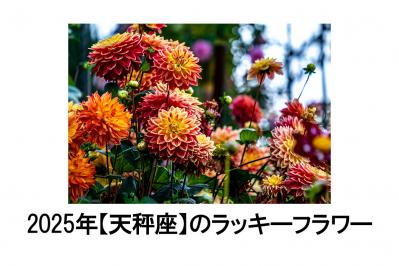 2025年の運気を左右する花とは？【天秤座】｜山田ありすの花占い