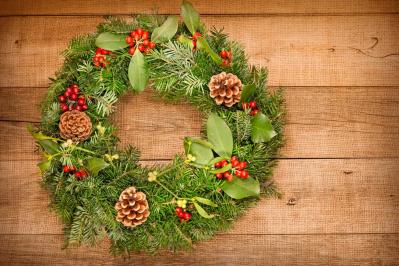 【ガーデニング】かわいい赤い実の植物【7選】　玄関や庭を飾りつけよう（サムネイル画像5）