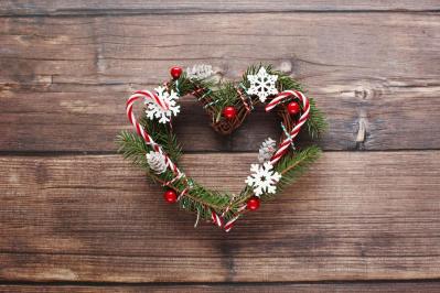 【ガーデニング】かわいい赤い実の植物【7選】　玄関や庭を飾りつけよう（サムネイル画像9）