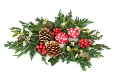 【ガーデニング】かわいい赤い実の植物【7選】　玄関や庭を飾りつけよう（サムネイル画像6）