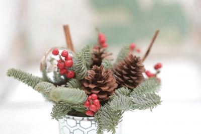 【ガーデニング】かわいい赤い実の植物【7選】　玄関や庭を飾りつけよう（サムネイル画像3）