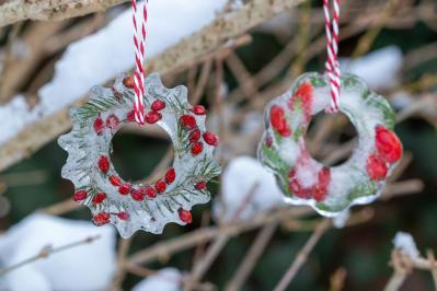 【ガーデニング】かわいい赤い実の植物【7選】　玄関や庭を飾りつけよう（サムネイル画像8）