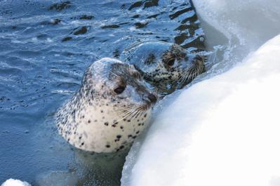 『おしん』のロケ地も【日本の絶景】3選。冬こそ訪れたいスポットを旅のプロが厳選（サムネイル画像4）