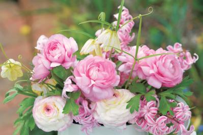 【花のまちがいさがし】「ラナンキュラス」の2つの写真に5つのちがいが。さて、どこ？（サムネイル画像3）