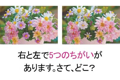 【花の間違い探し】「キクたちの宴」の2つの写真に5つのちがいが。さて、どこ？