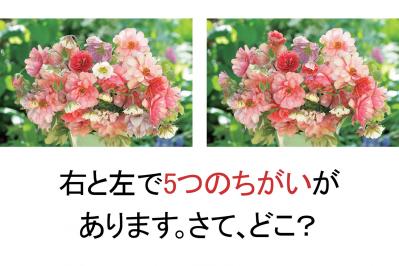 【花のまちがいさがし】「春爛漫」の2つの写真に5つのちがいが。さて、どこ？