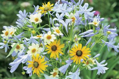 【花のまちがいさがし】「風も清かに」の2つの写真に5つのちがいが。さて、どこ？（サムネイル画像2）