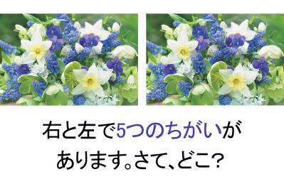 【花のまちがいさがし】「春の訪れ」の2つの写真に5つのちがいが。さて、どこ？