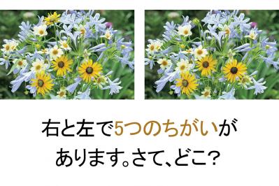 【花のまちがいさがし】「風も清かに」の2つの写真に5つのちがいが。さて、どこ？