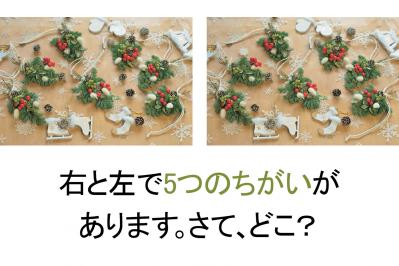 【花の間違い探し】「クリスマス飾り」の2つの写真に5つのちがいが。さて、どこ？