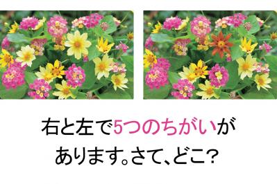 【花のまちがいさがし】「鮮やかに七変化」の2つの写真に5つのちがいが。さて、どこ？