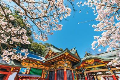 年間300万人以上が参拝に訪れる神社も【春の花の絶景】3選。「一度は行くべき」旅のプロ絶賛スポット（サムネイル画像6）