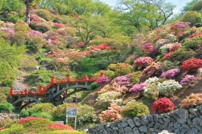 年間300万人以上が参拝に訪れる神社も【春の花の絶景】3選。「一度は行くべき」旅のプロ絶賛スポット（サムネイル画像7）