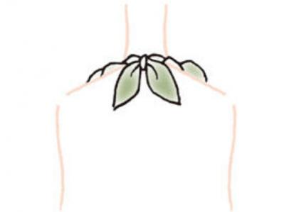 「センスがいいですね」と言われる【定番スカーフの巻き方2選】「スタイリッシュ プリーツ」と「チョーカー結び」（サムネイル画像18）