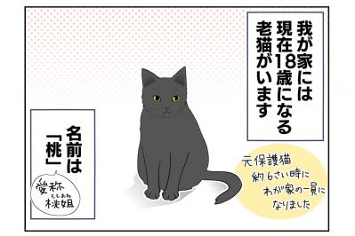 【老猫マンガ】年々できることが減るものの、姿を見られるだけで幸せ♡18歳の元保護猫・桃姐［＃1］