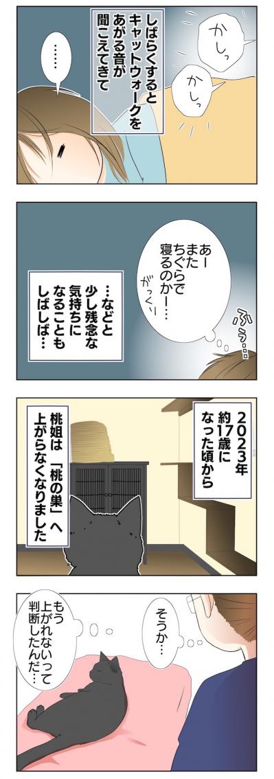 【老猫マンガ】年々できることが減るものの、姿を見られるだけで幸せ♡18歳の元保護猫・桃姐［＃1］（サムネイル画像3）