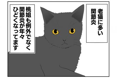 【老猫マンガ】関節炎の新薬、はじめました！18歳の元保護猫・桃姐［＃2］