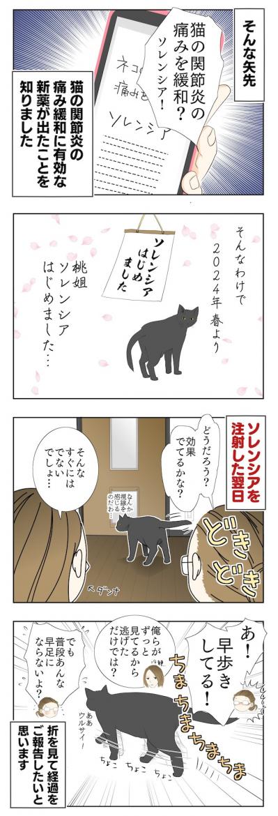 【老猫マンガ】関節炎の新薬、はじめました！18歳の元保護猫・桃姐［＃2］（サムネイル画像3）