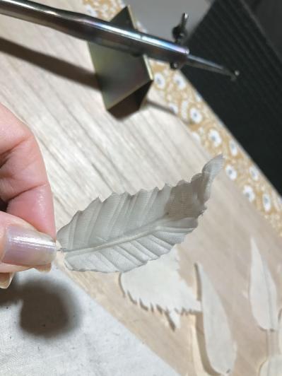 【77歳、借家でひとり暮らし】「ここからの人生は楽しみしかない」ノンフィクション作家・松原惇子さん（サムネイル画像5）