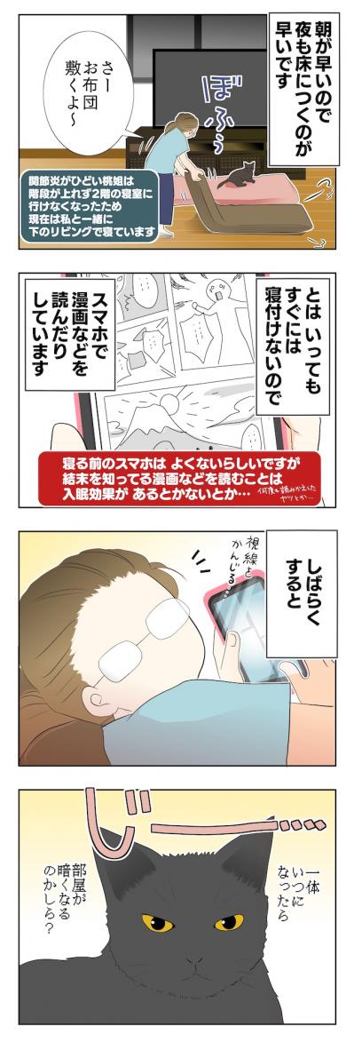 【マンガ・老猫日誌 ＃3】猫、圧をかける？ 19歳の元保護猫・桃姐（サムネイル画像2）