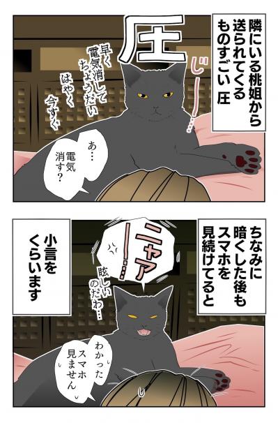 【マンガ・老猫日誌 ＃3】猫、圧をかける？ 19歳の元保護猫・桃姐（サムネイル画像3）