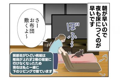 【老猫マンガ】猫、圧をかける？ 18歳の元保護猫・桃姐［＃3］