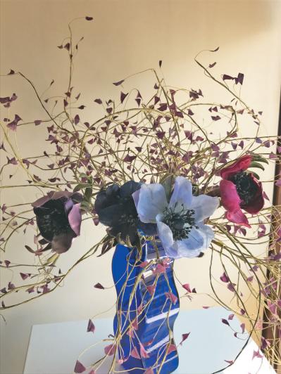 【77歳、借家でひとり暮らし】「ここからの人生は楽しみしかない」ノンフィクション作家・松原惇子さん（サムネイル画像3）