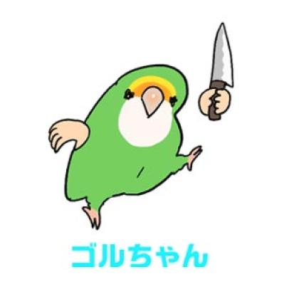 【鳥マンガ＃18】飼い主に一途すぎるインコの困りごと／ゴルちゃんの盗撮に成功！そのときの姿勢がすごい（サムネイル画像2）