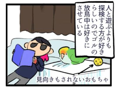【鳥マンガ＃1】インコにおやつをあげると、えっ！？ インコによるDV被害とは…？（サムネイル画像8）