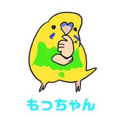 【鳥マンガ＃18】飼い主に一途すぎるインコの困りごと／ゴルちゃんの盗撮に成功！そのときの姿勢がすごい（サムネイル画像3）