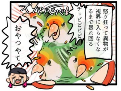 【鳥マンガ＃1】インコにおやつをあげると、えっ！？ インコによるDV被害とは…？（サムネイル画像7）