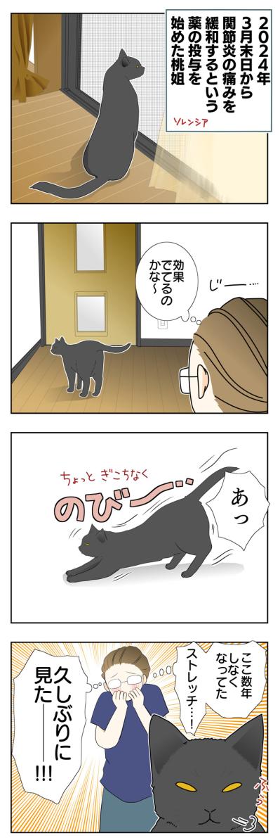 【老猫マンガ】ソレンシア接種から1カ月…。18歳の元保護猫・桃姐［＃4］（サムネイル画像2）
