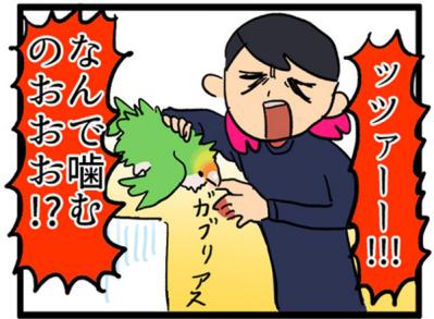 【鳥マンガ＃2】全てを破壊するインコとは！？インコのおしゃべり（サムネイル画像12）