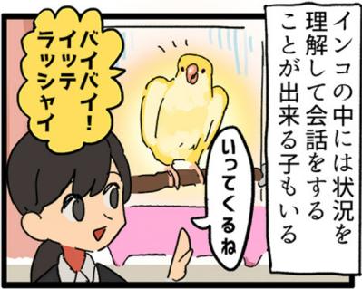 【鳥マンガ＃3】塩対応なインコ、デレるインコ。ホームカメラで見てみると！？（サムネイル画像4）